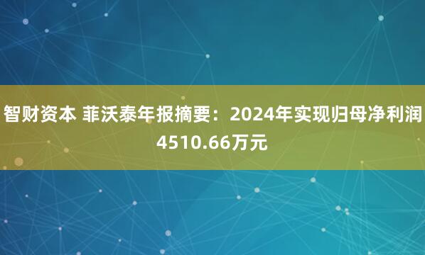 智财资本 菲沃泰年报摘要：2024年实现归母净利润4510.66万元