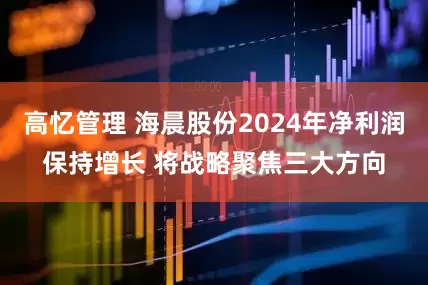 高忆管理 海晨股份2024年净利润保持增长 将战略聚焦三大方向