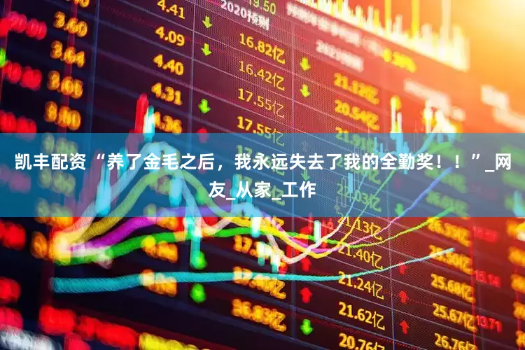 凯丰配资 “养了金毛之后，我永远失去了我的全勤奖！！”_网友_从家_工作