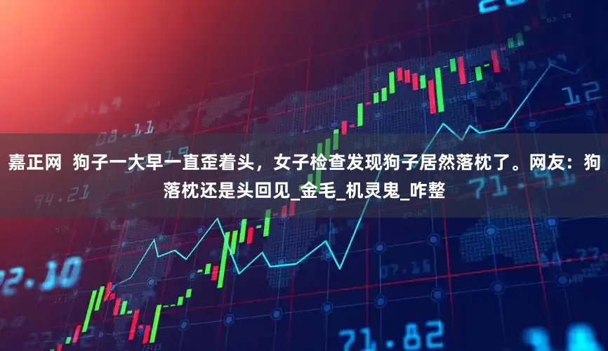 嘉正网  狗子一大早一直歪着头，女子检查发现狗子居然落枕了。网友：狗落枕还是头回见_金毛_机灵鬼_咋整
