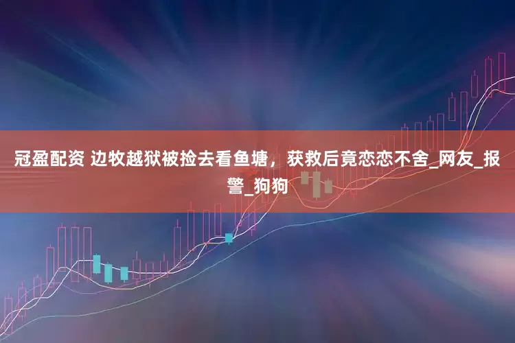 冠盈配资 边牧越狱被捡去看鱼塘，获救后竟恋恋不舍_网友_报警_狗狗