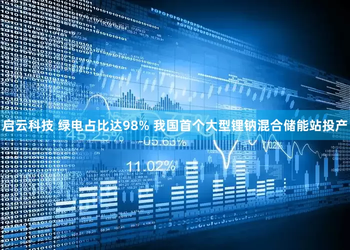 启云科技 绿电占比达98% 我国首个大型锂钠混合储能站投产