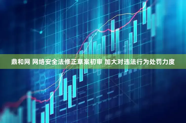 鼎和网 网络安全法修正草案初审 加大对违法行为处罚力度