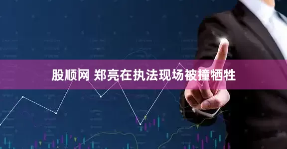 股顺网 郑亮在执法现场被撞牺牲